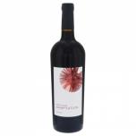Odette - Adaptation Cabernet Sauvignon 2021